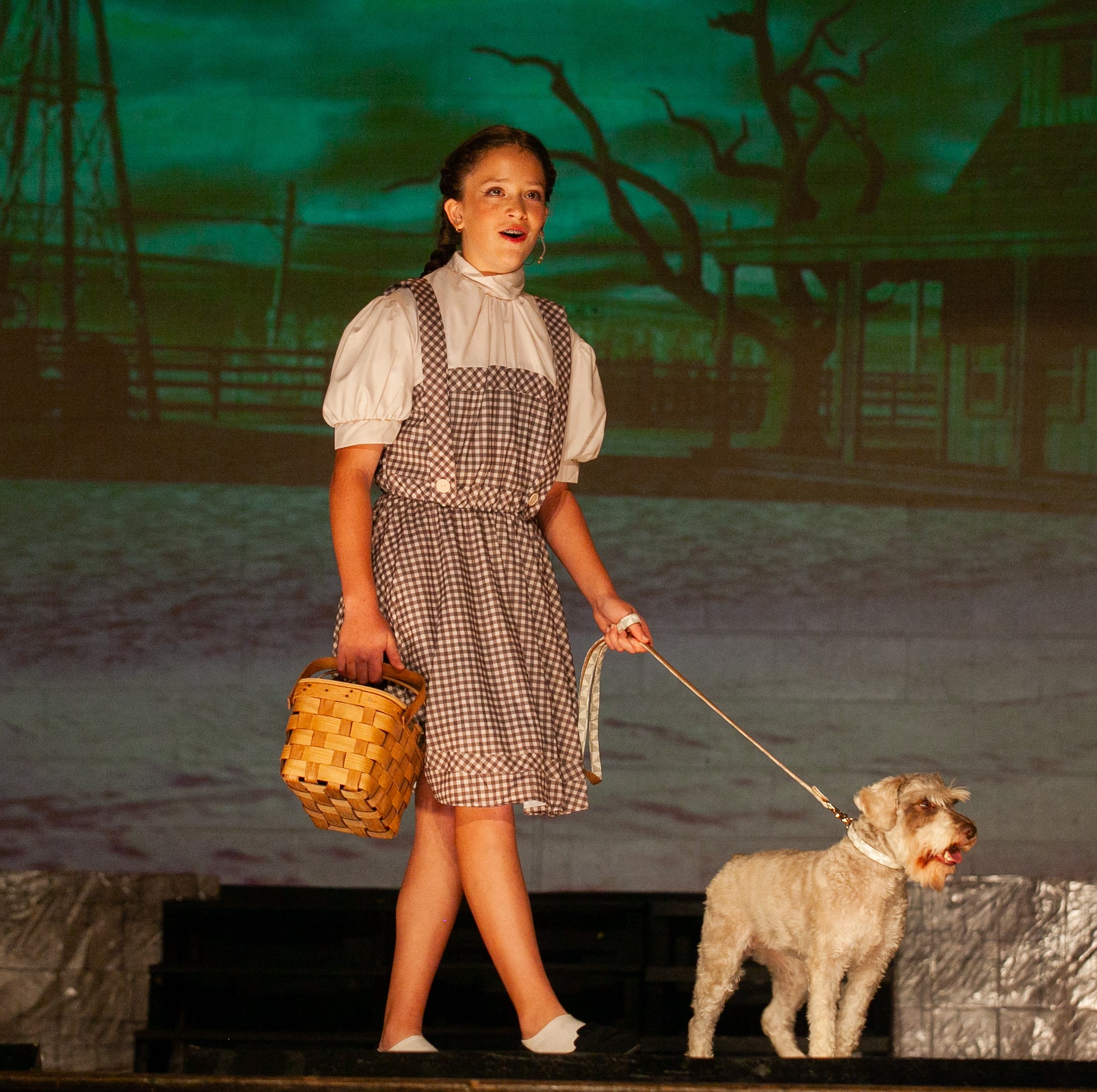 Dorothy performing on stage with Toto in The Wizard of Oz